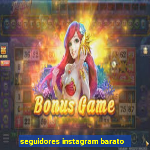 seguidores instagram barato